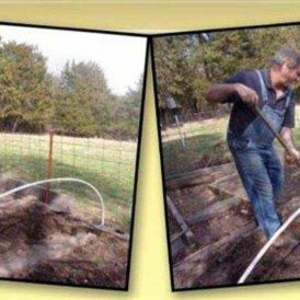 A Reason for the Green Image